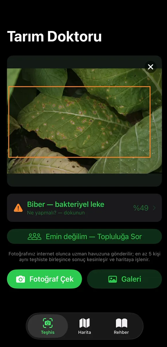 Tarım Doktoru — fotoğraftan bitki hastalığı tanıma — proje içi görsel 1